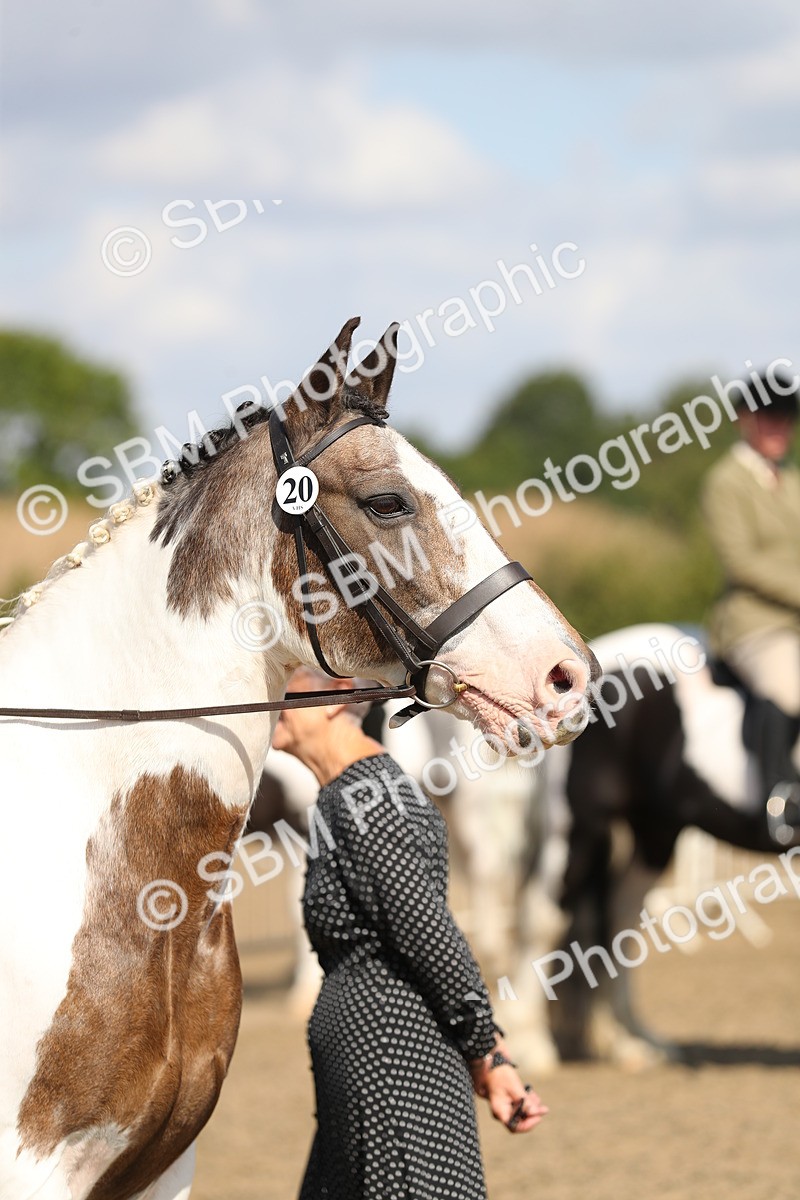 SBM_03216 - Class 44 Riding Club Horse/ Pony