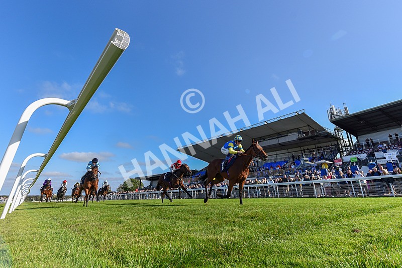 180924-Race 5-Blue Zodiac-7449 - Race 5