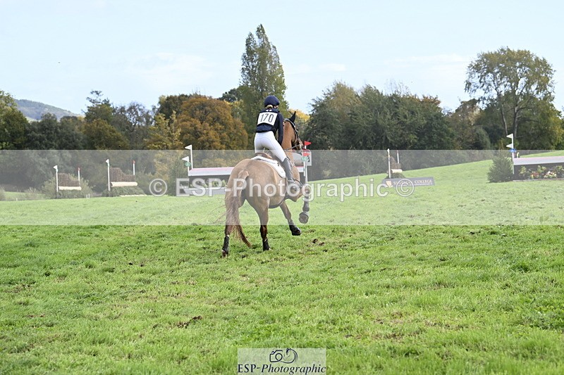 251024A-133609-11518 - B-170-Mollie.Summerland