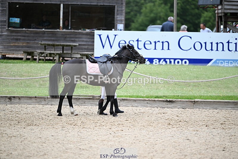 250622A-111905-01215 - 50cm