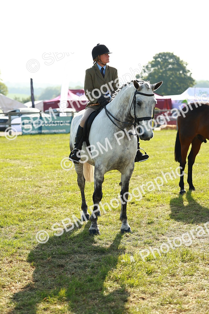 SBM_10829 - Class 66-69 - RIHS Ridden Hunters Inc Small Hunter
