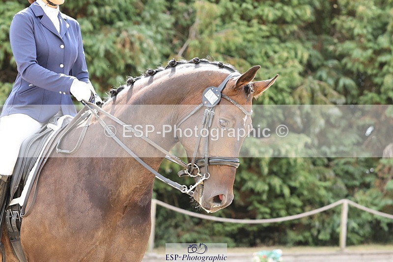 250809A-105409-03008 - 020-Scarlett.LaiFairfax.111