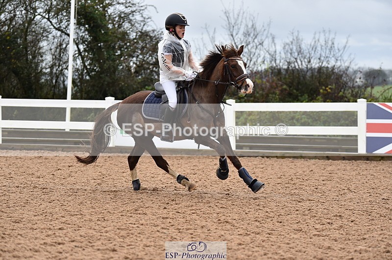 231203A-100104-00254 - Cls 2 British Novice & 80cm Open