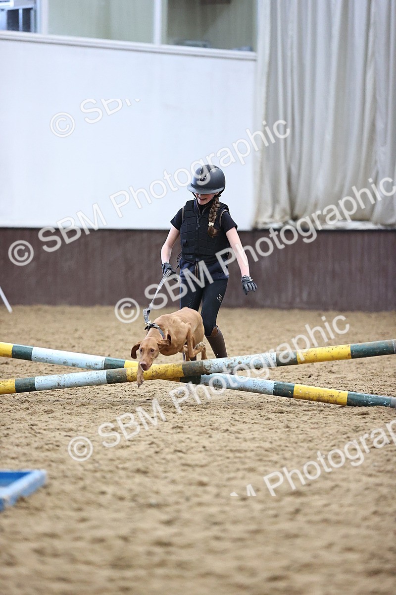 SBM_001287 - Class 3 - Horse & Hound 60cm