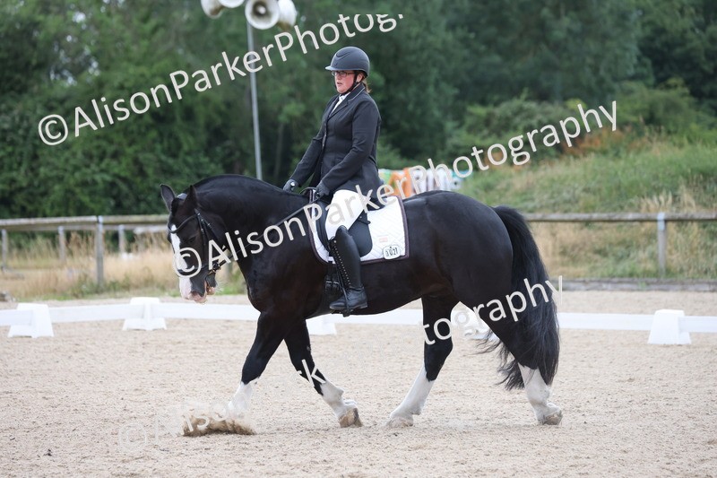 20250706-0112 - Class 11 - MQ Open Novice Test 3