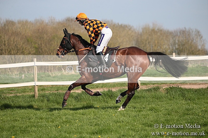 PtP 210418 485 - South & West Wilts Point-to-Point Larkhill 21/04/18