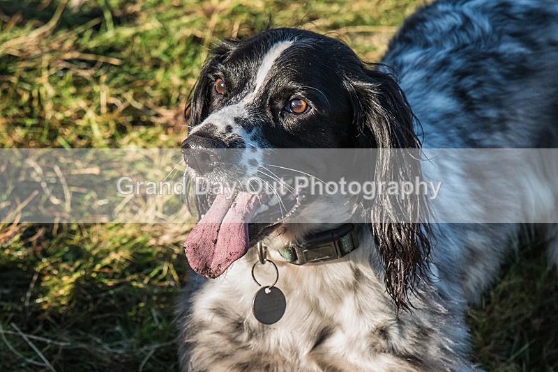 Dunnerdale-1068 - Dunnerdale Fell Race Saturday 11th November 2023