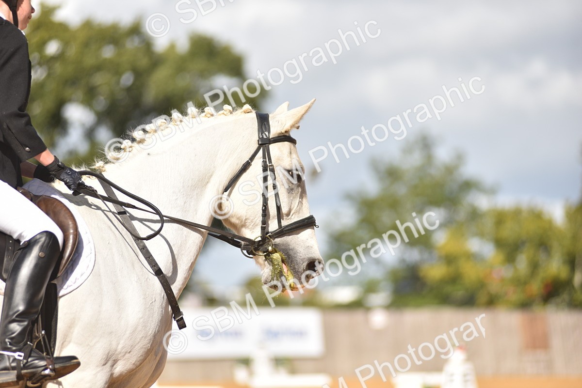 SBM_03102 - D4 - Small Tour Championship Intro 4