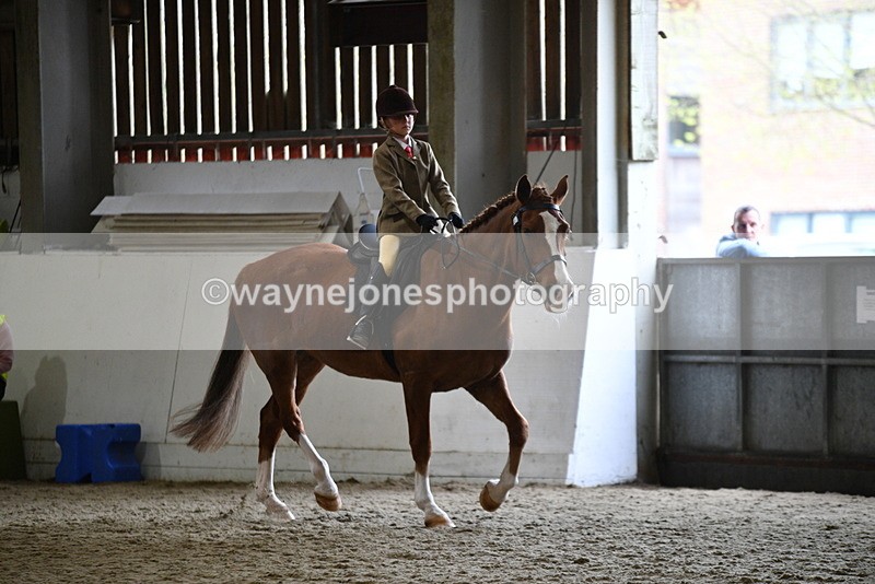 WJ5_6378 - Class 9 Ridden Veteran