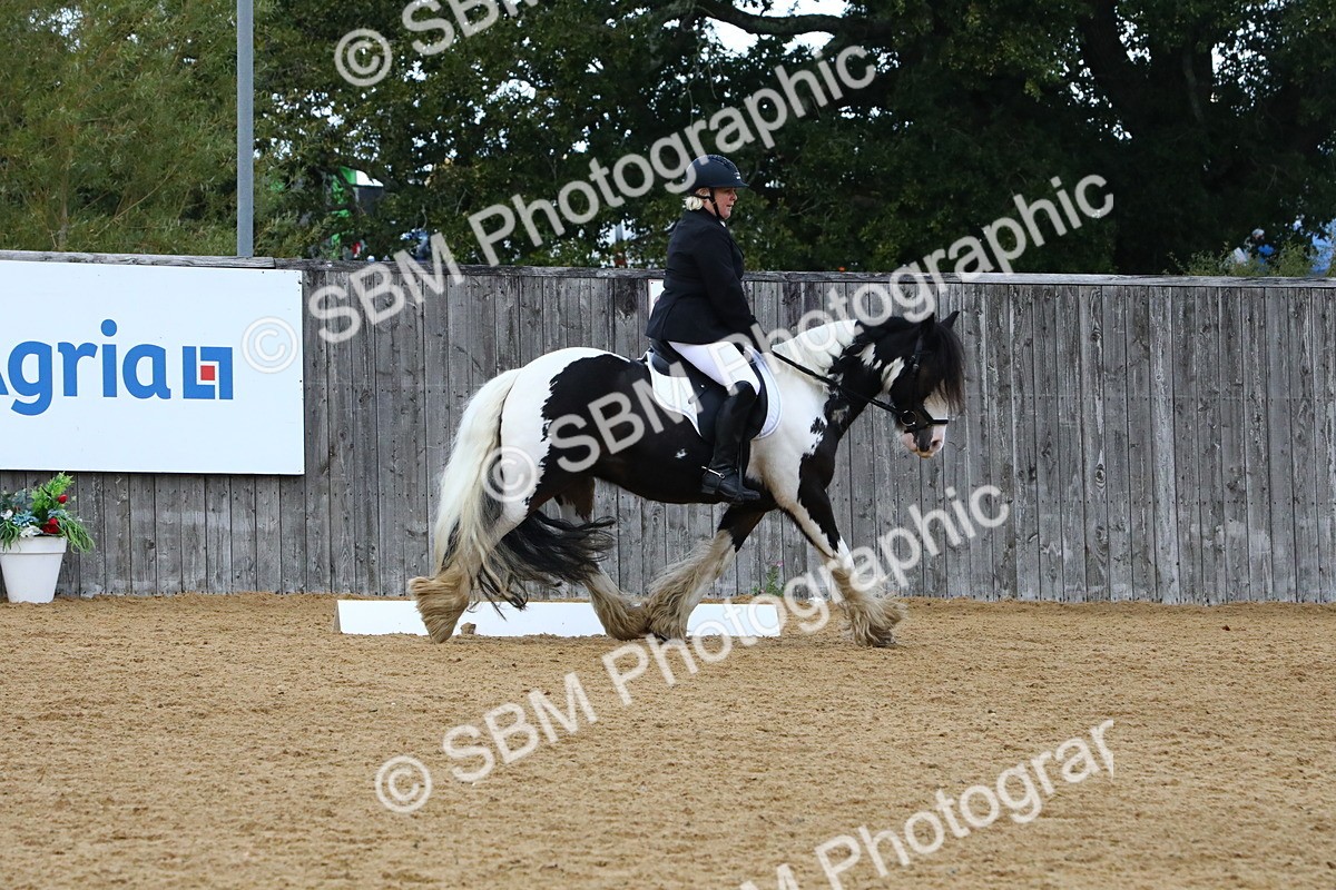 SBM_21029 - D5 - Small Tour Championshop Intro 2