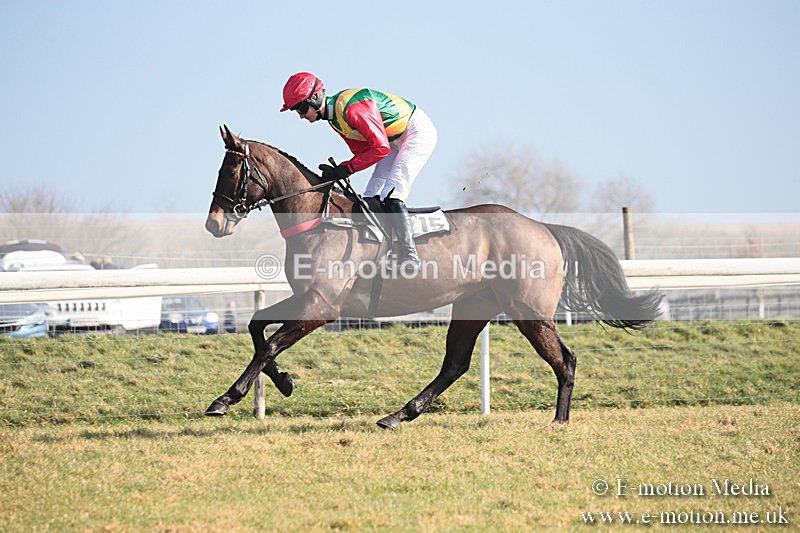 PtP 230219 29 - Vine & Craven Point-To-Point - Barbury 23/02/19