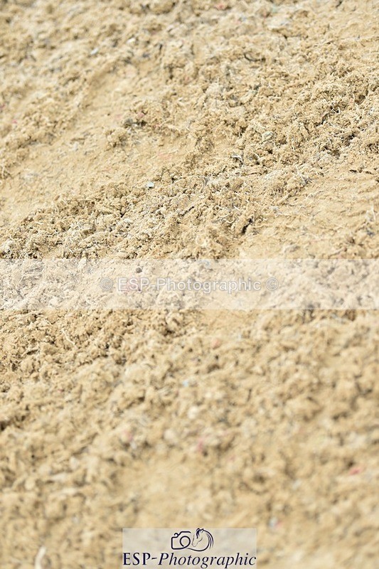 230706-091920-00082 - Cls 4 4 year old