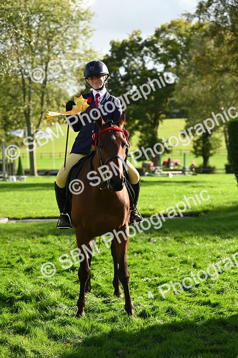 SBM_26473 - S6 - Novice & newcomer Ridden horse