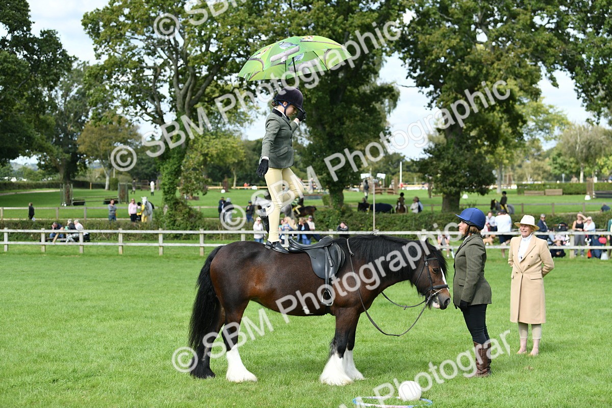 SBM_46937 - S12 - Family Horse & Pony