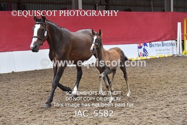 JAC_5582 - 13 Zi Real McCoy