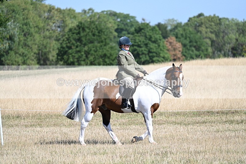 WJ7_3039 - Class 8 Ridden Tack & Turnout
