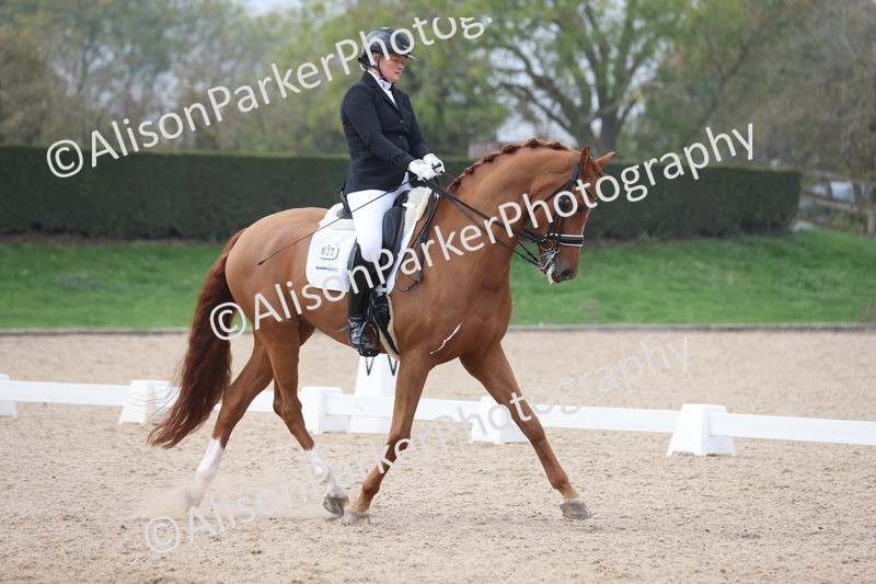 20251012-0797 - Class 9 - Advanced Medium 3