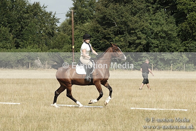 _PJP5686 - Dressage Classes BVRC Show 2018