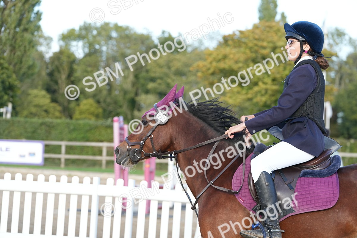 SBM_53999 - J8 - Junior Pony 65cm Championship