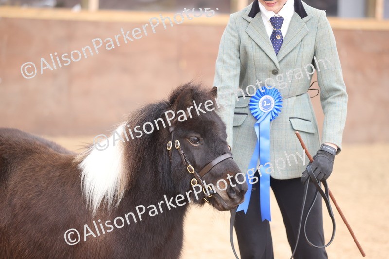 20251109-0419 - Class 15 - Coloureds