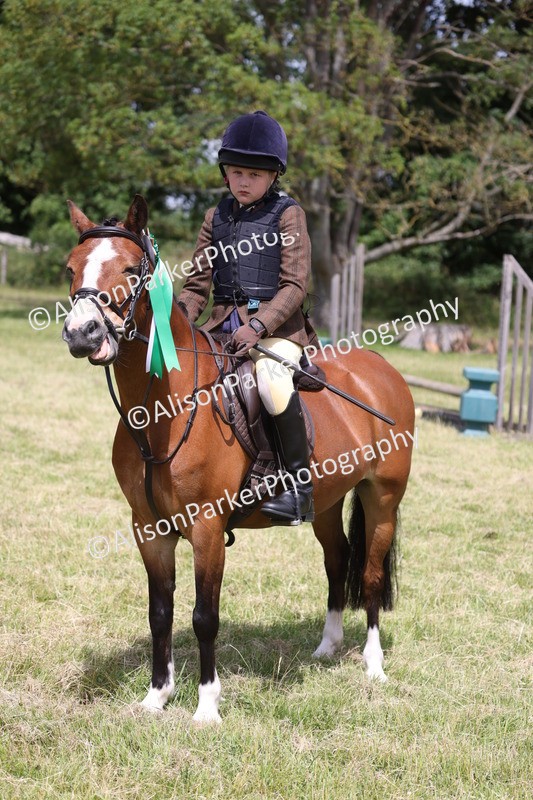 20260614-2144 - Class 21 - Novice Working Hunter Pony