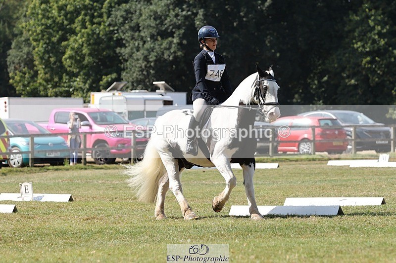 250823A-113017-27699 - Arena C