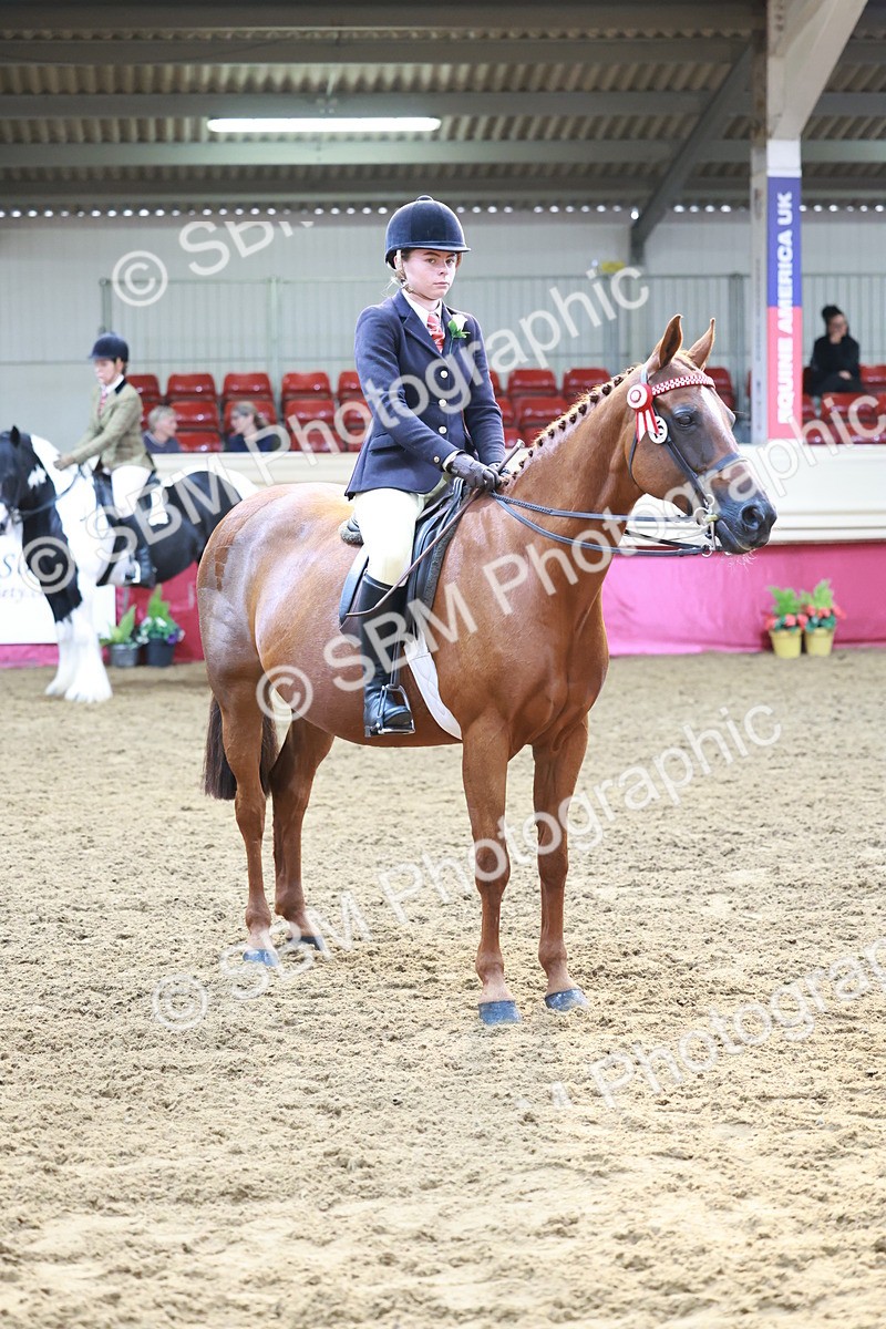 SBM_11980 - Class 102 - Equitation (Best Rider) Adult