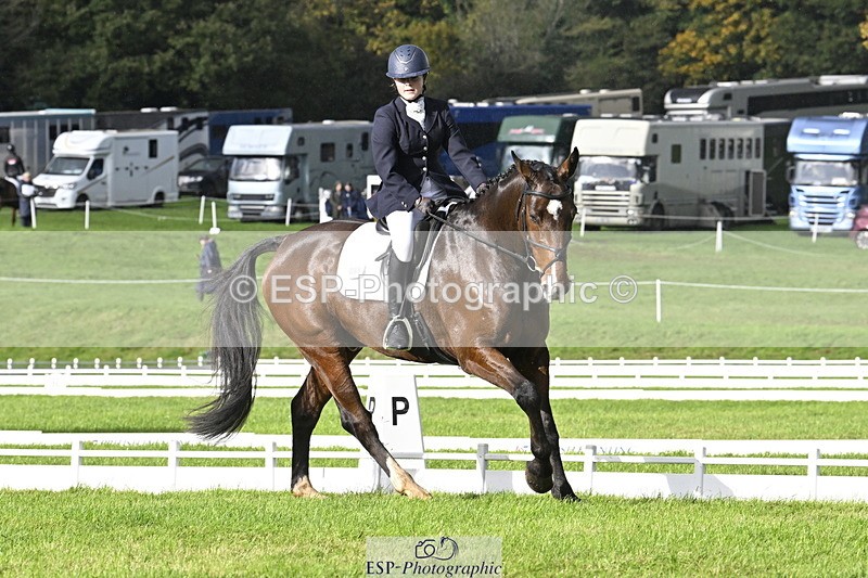 251023A-150410-04501 - E-385-Delilah.Wood