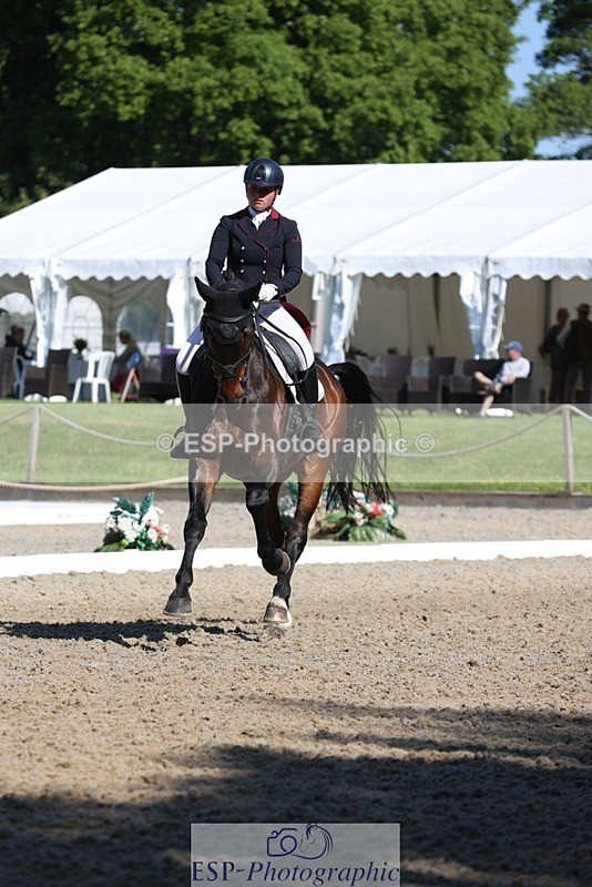 230526-094347-05142 - 357-VIVENDI_HERO-Saffron_Cresswell-WEDTrotUp+DR