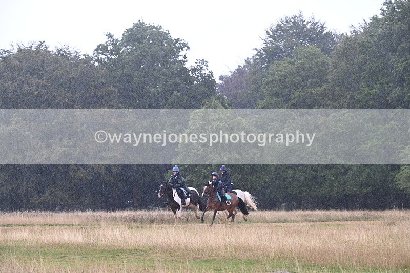 DSC_3040 - Time at Statue 12:59 to 13:49