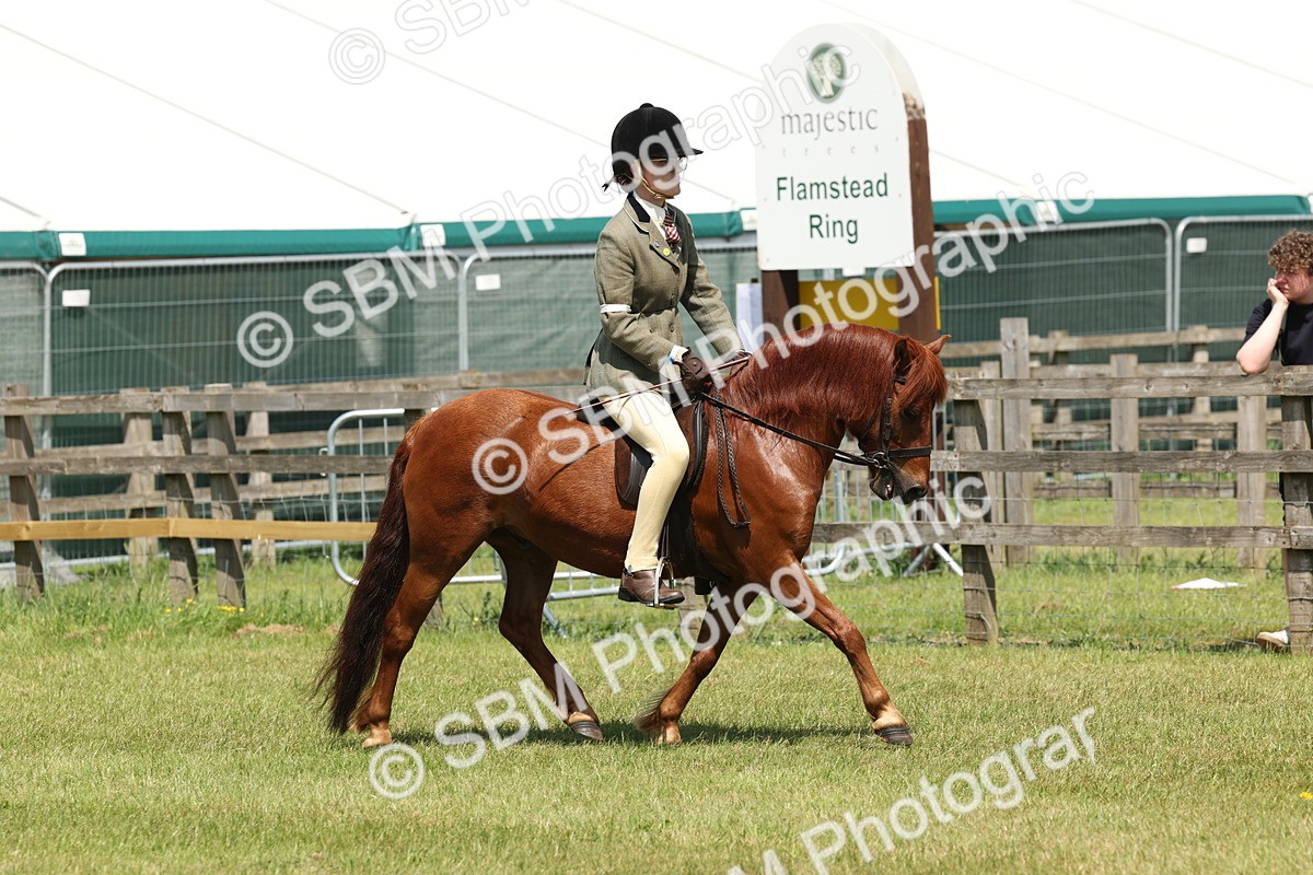 SBM_06802 - Class 26-30 - Mountain and Moorland Ridden