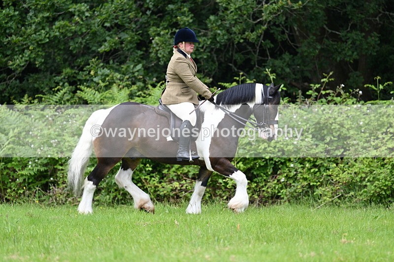 WJ7_2312 - Class 12A Coloured Class