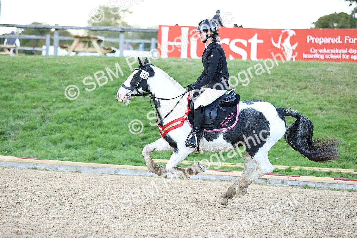 SBM_54447 - Supreme Championship 70cm 75cm