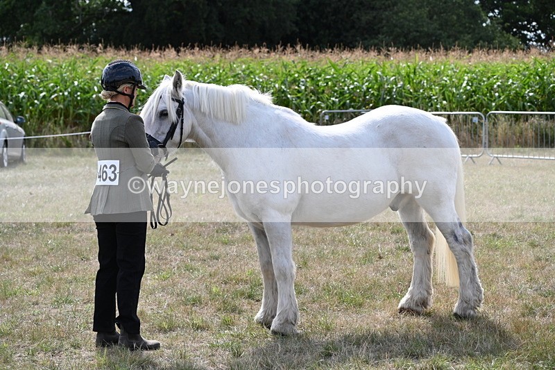 WJ6_6605 - Class 20 In-hand Cob