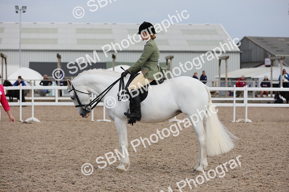 SBM_17788 - Class 315 Best Horse/Rider Combination