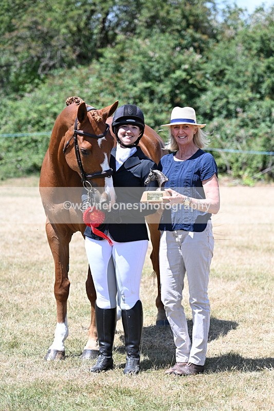 WJ7_2523 - Most Handsome Gelding Champs