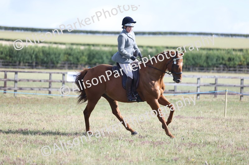 20250831-0910 - Class 14 - Ex Racehorse