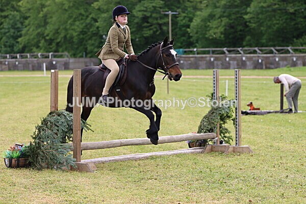 IMG_2463 - Working Hunter
