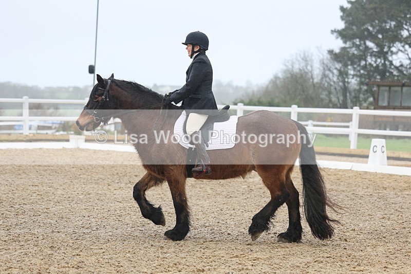 3E7A8524 - Class 1: Intro 1 2024 sec A - part one