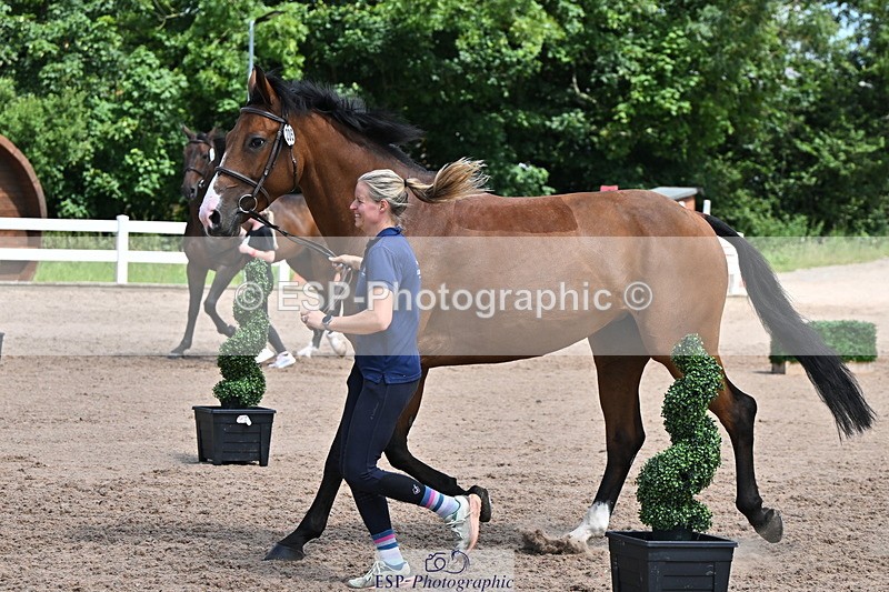 240718A-105258-01380 - Trot Up 12pm to 1pm