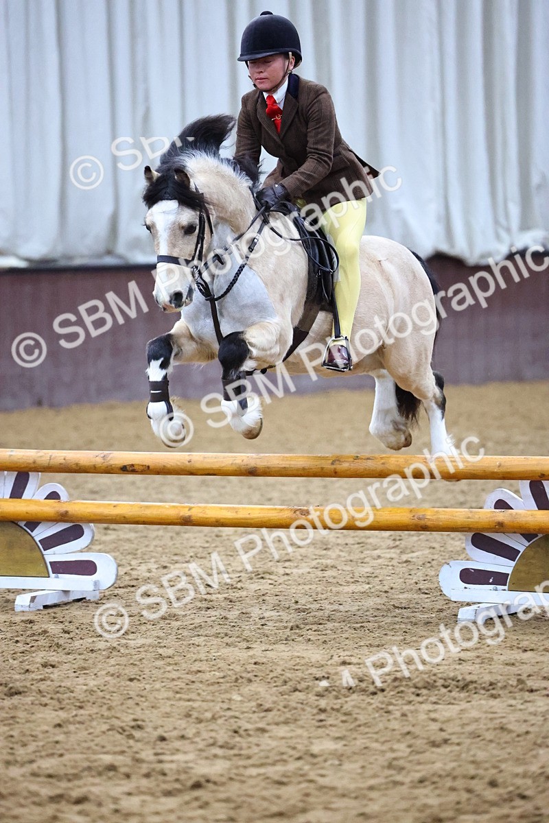 SBM_003138 - Class 35 - 60cm Training Stakes