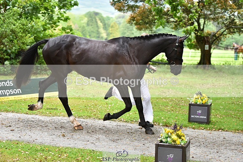 240522-163134-00978 - 209-COOLEY_DJANGO-Lottie_Royle