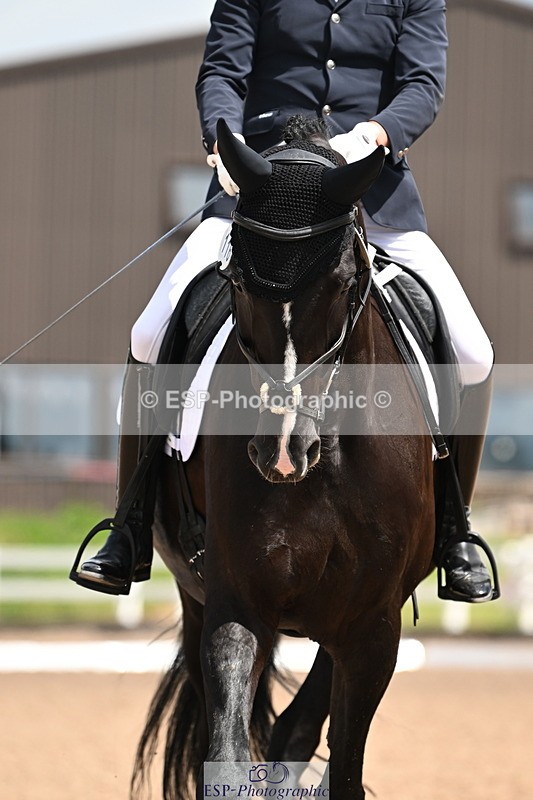 240621A-120202-02462 - Cls 5 BD Novice 37A