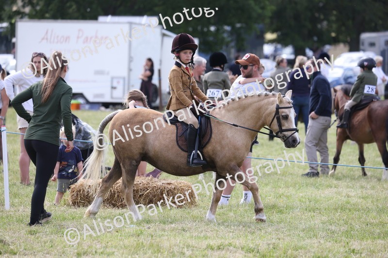 20260614-0795 - Class 20 - Beginners Working Hunter Pony