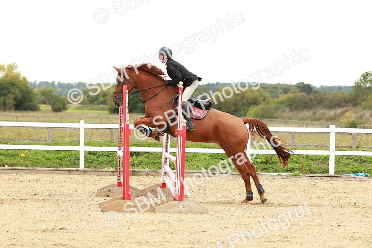 1I0A7125 - Class 2 - Senior British Novice