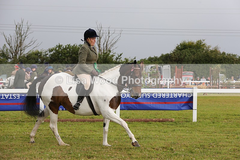 1X9A2972 - Class 25: Ridden Plaited Coloured Horse