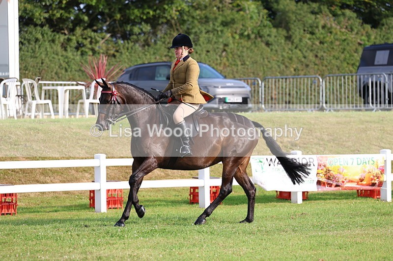 3E7A7726 - Class 1: Rising Star Small Hack/Riding Horses