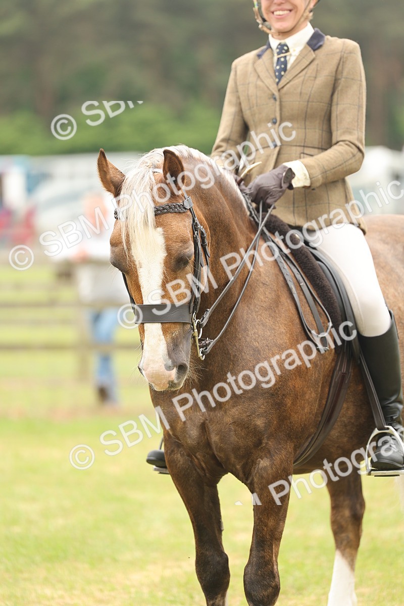 SBM_07253 - Class 76-77 - Ridden M&M Welsh Ponies