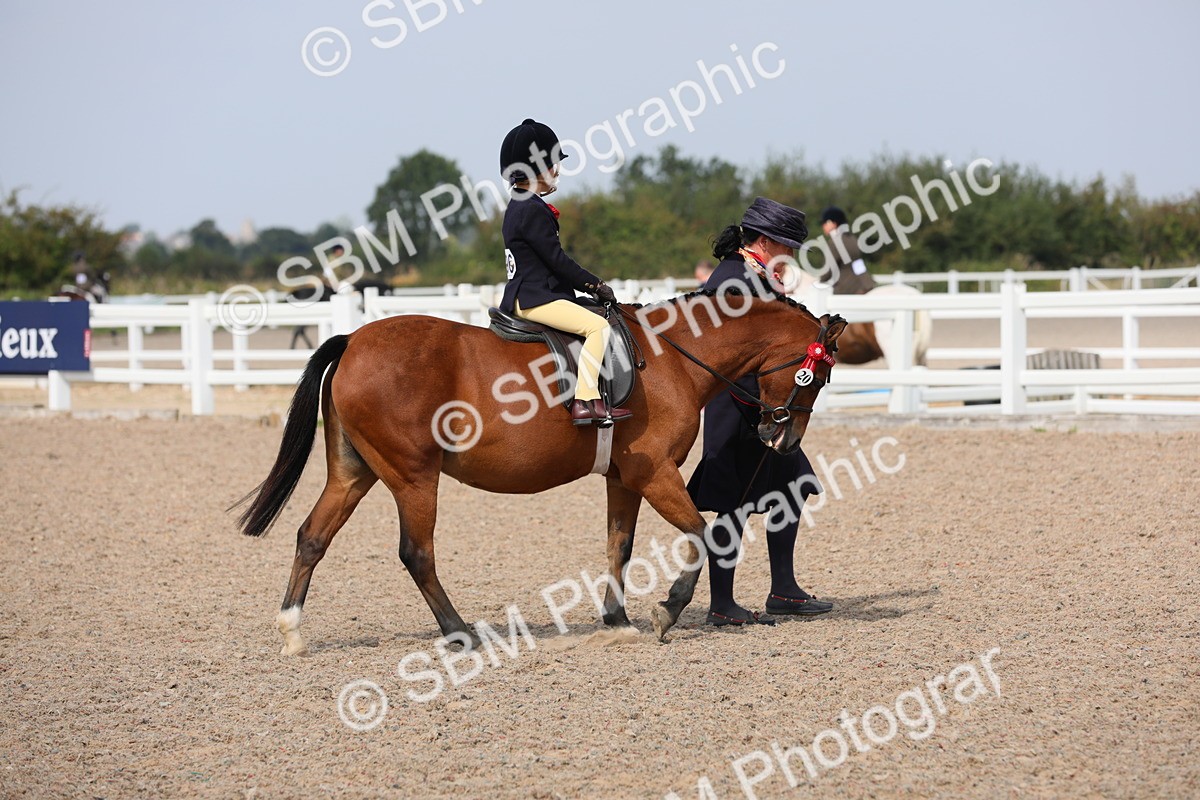 SBM_13966 - Class 309 Lead Rein Pony