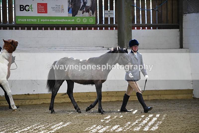 WJ5_3346 - Class 1 Youngstock